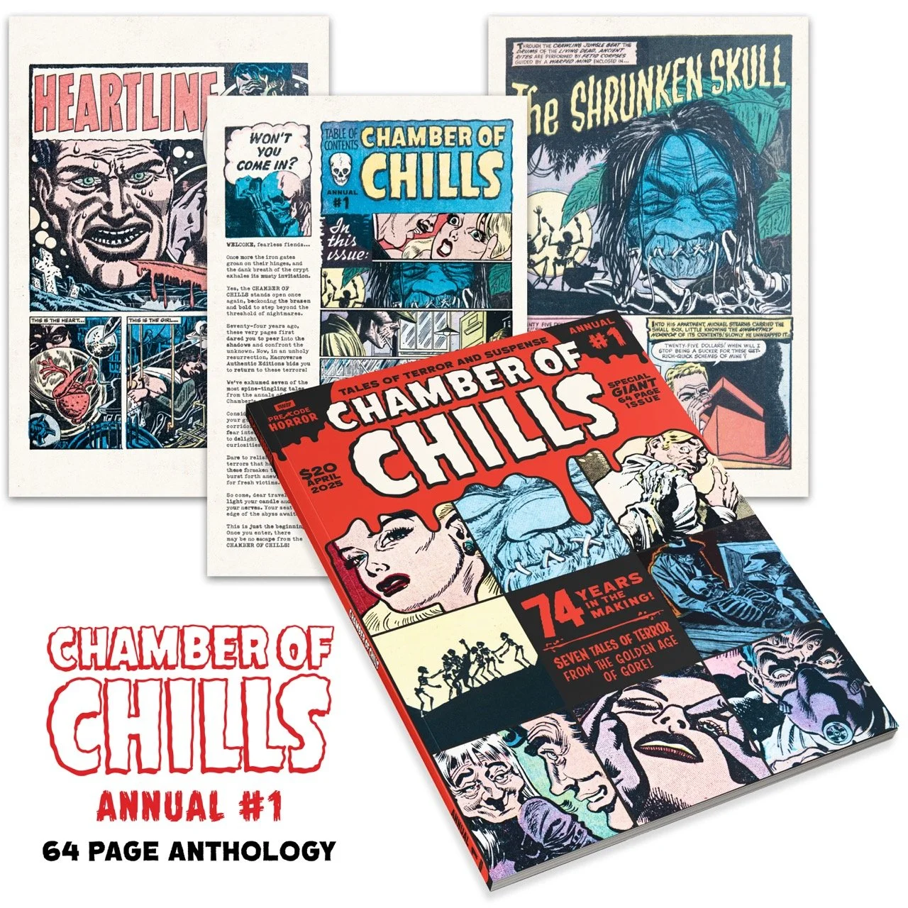 Chamber of Chills Annual #1 — Macroverse